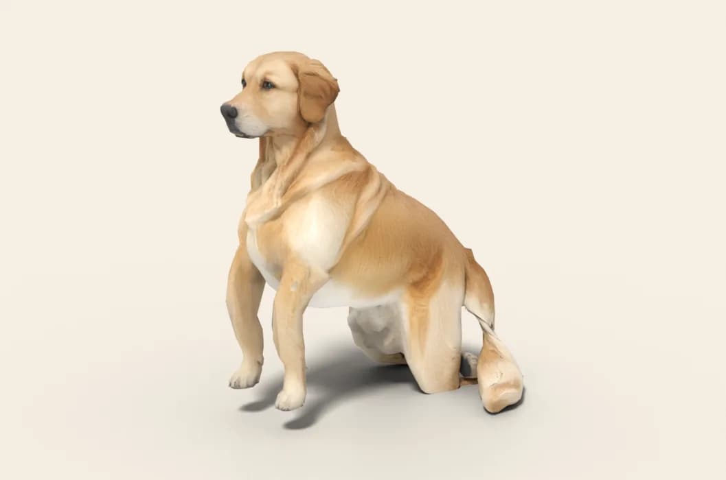 Sunny, a golden retriever, sitting as a 3D model made from photos