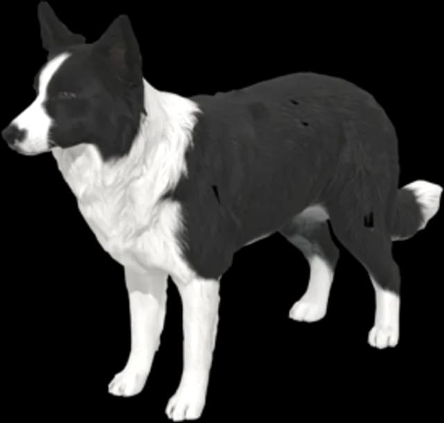 Milo, a border collie, as a 3D model made from photos
