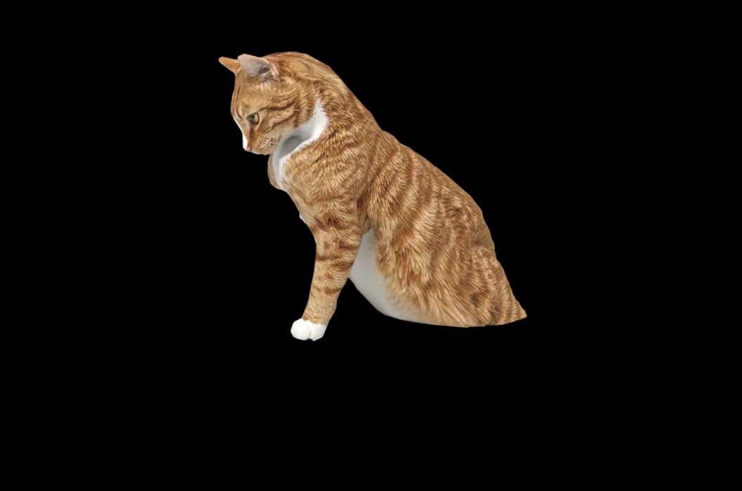 A 3D cat grooming, made from photos of a real pet