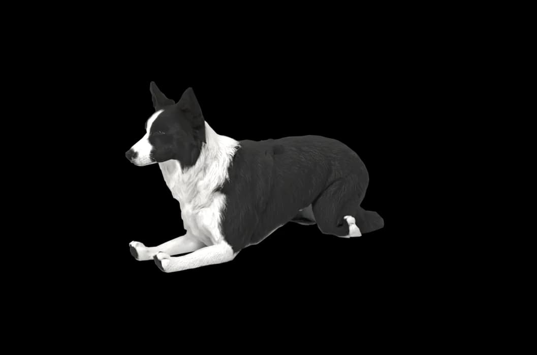 A 3D dog lying down calmly on a Mac desktop