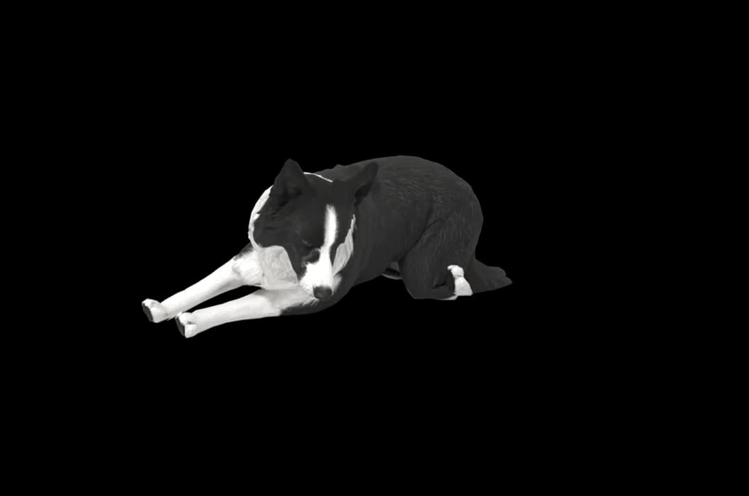 A 3D dog asleep on a Mac desktop, made from photos